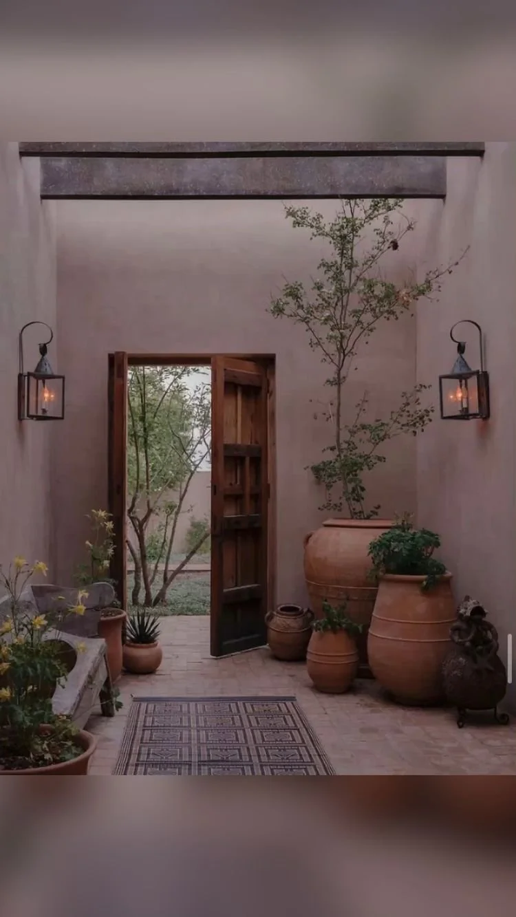 101: Keeping Indoor Plants Clean