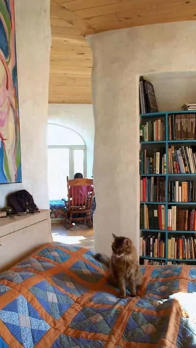 5 Surprising Reasons For Regular Pest Checks