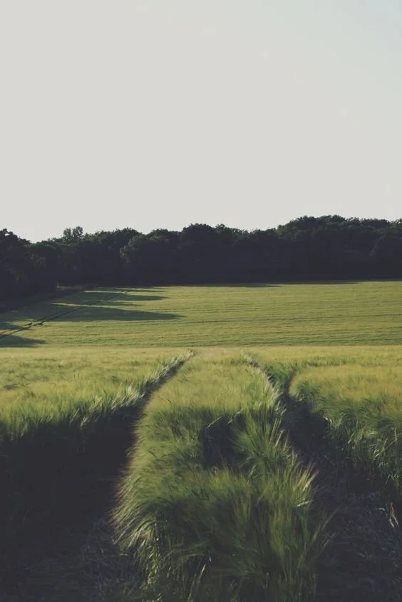 Finding Our Place In The World