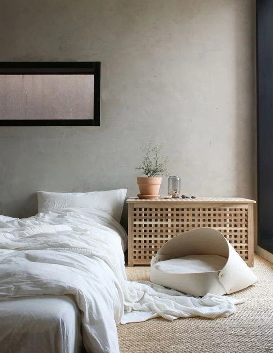 3 Hot Tips For Clean Living With A Dog