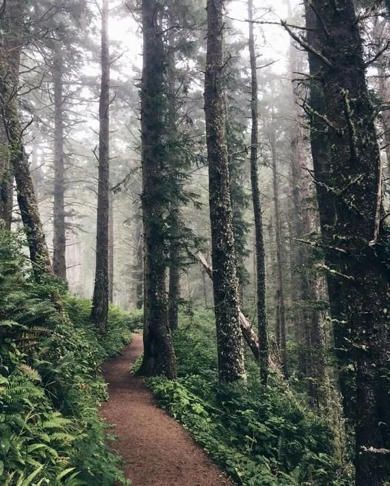 How To Satisfy Wanderlust on a Budget