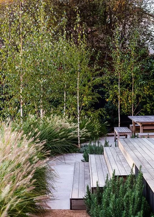 15 Ways to Modernize The Backyard