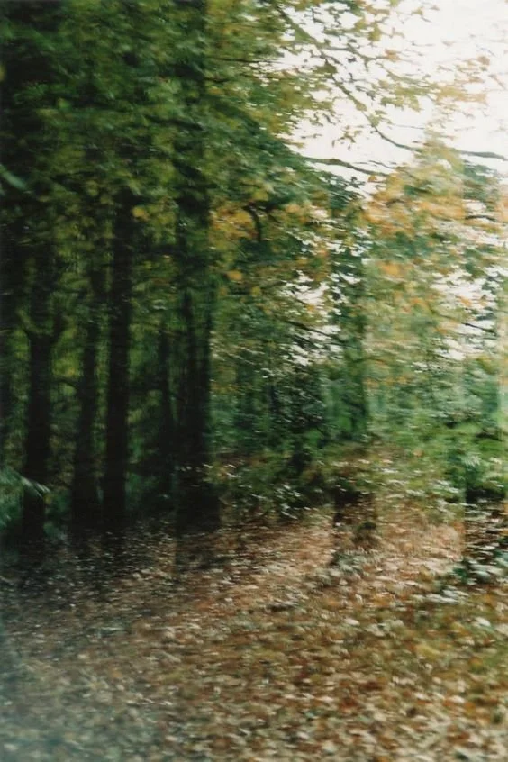 3 Expensive Items Every Camping Enthusiast Needs