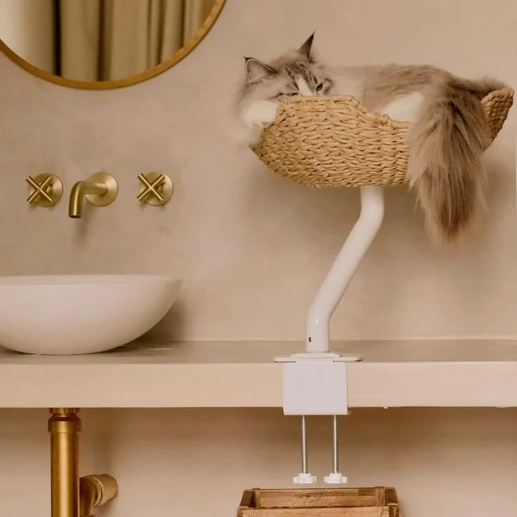 How to Incorporate Pet Accessories in a Way That Fits with Your Home Aesthetic