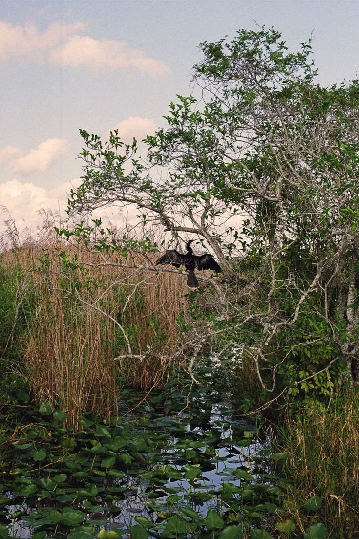Best Florida Travel Destinations for Outdoor Enthusiasts
