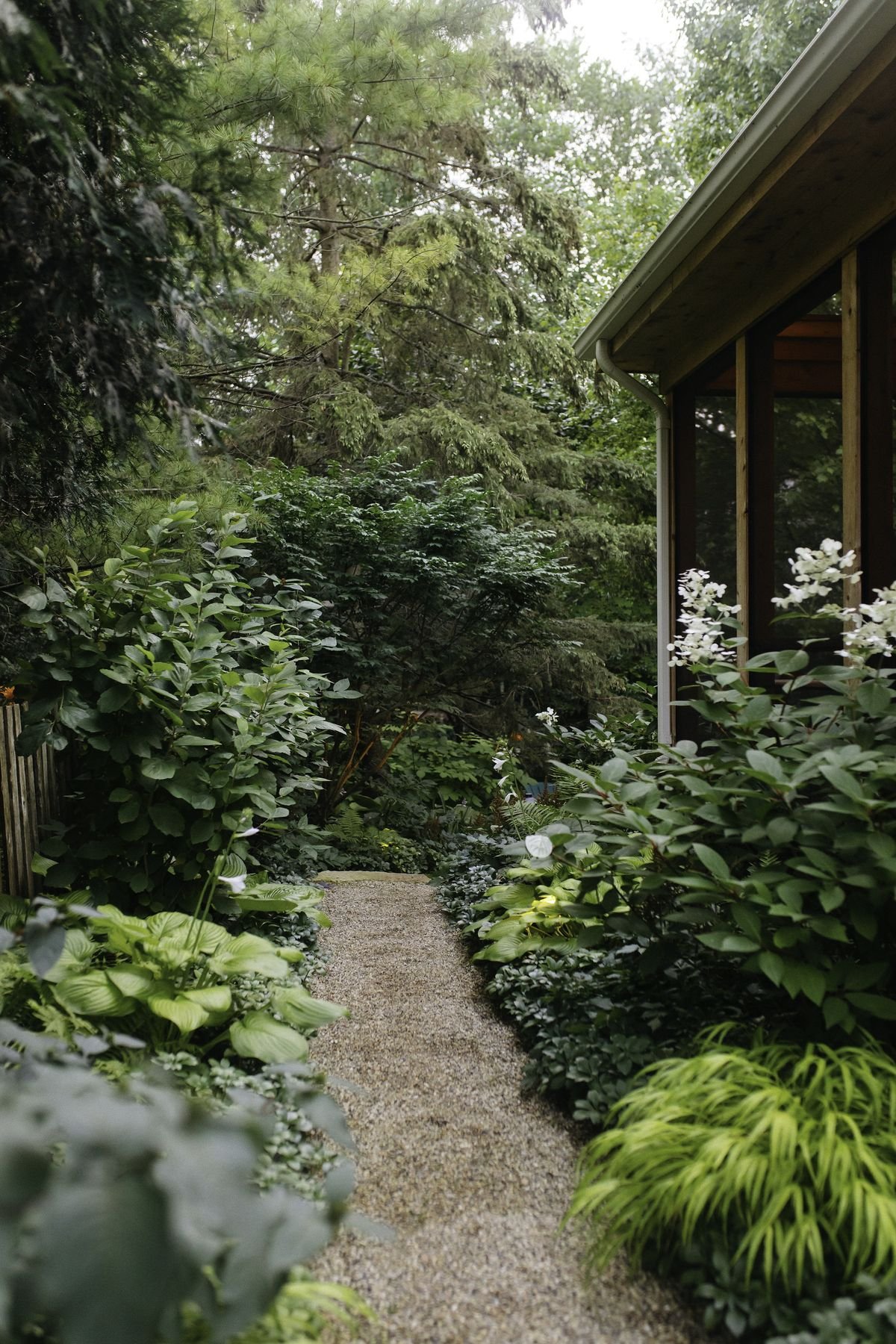 What To Grow When Your Yard Gets No Sun
