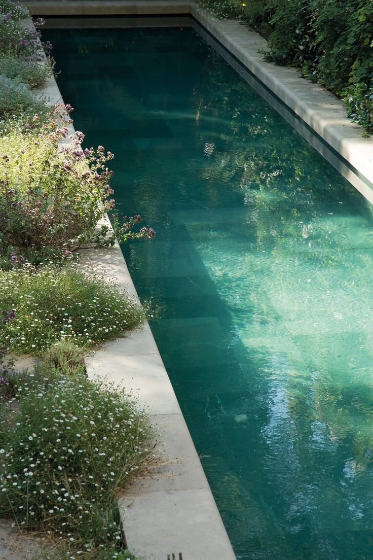 How to Seamlessly Integrate an Existing Pool into a Modern Landscape Design
