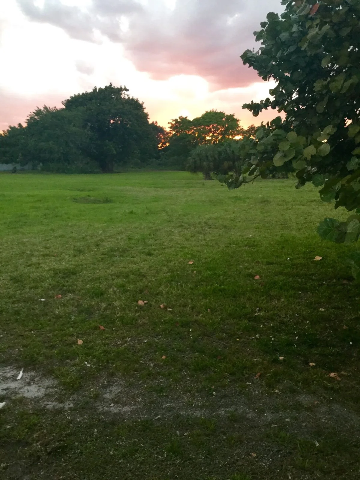 How To Make Vacant Land Work Harder for You