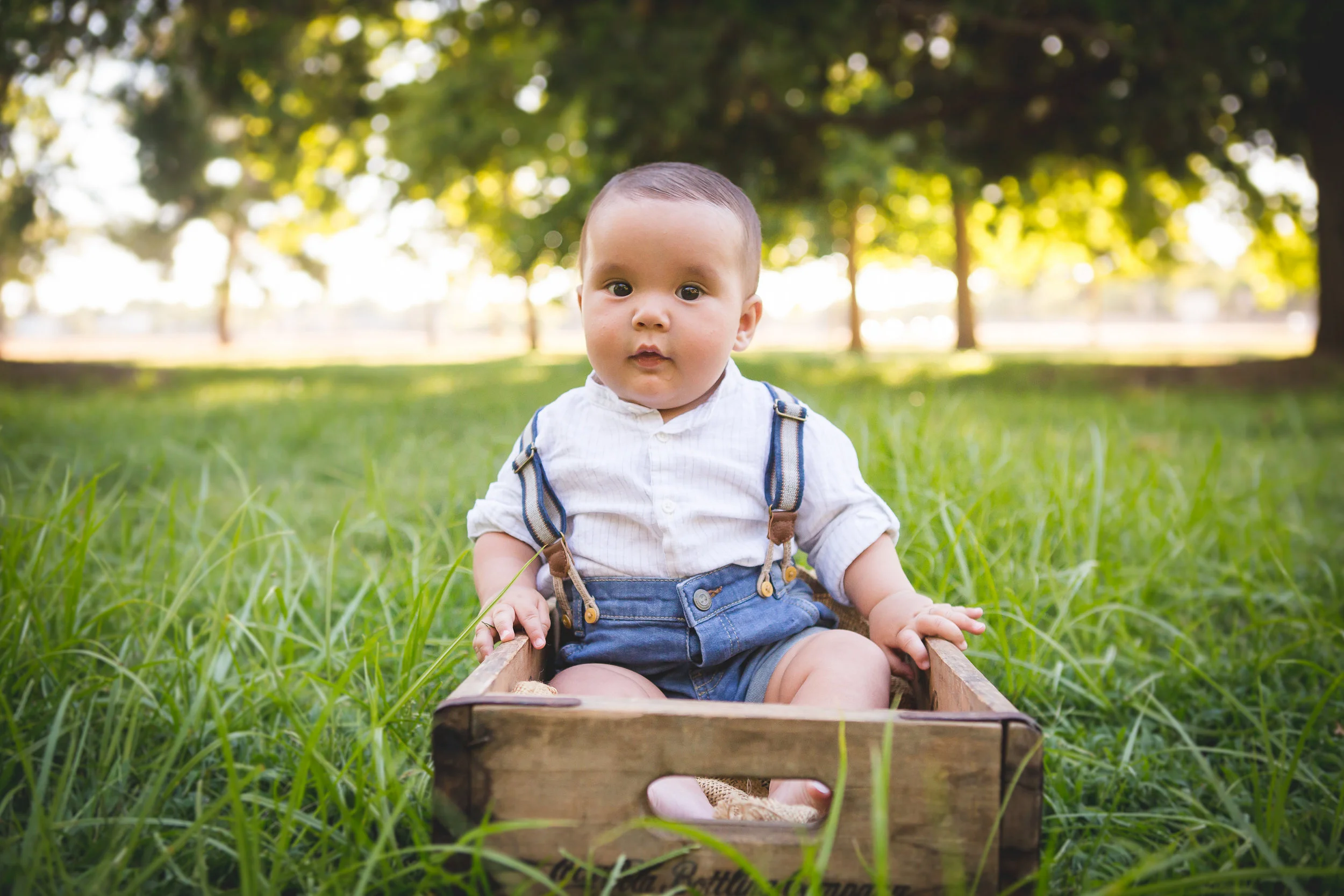 Happy Half Birthday Sweet Cove Bear Lexi Warren