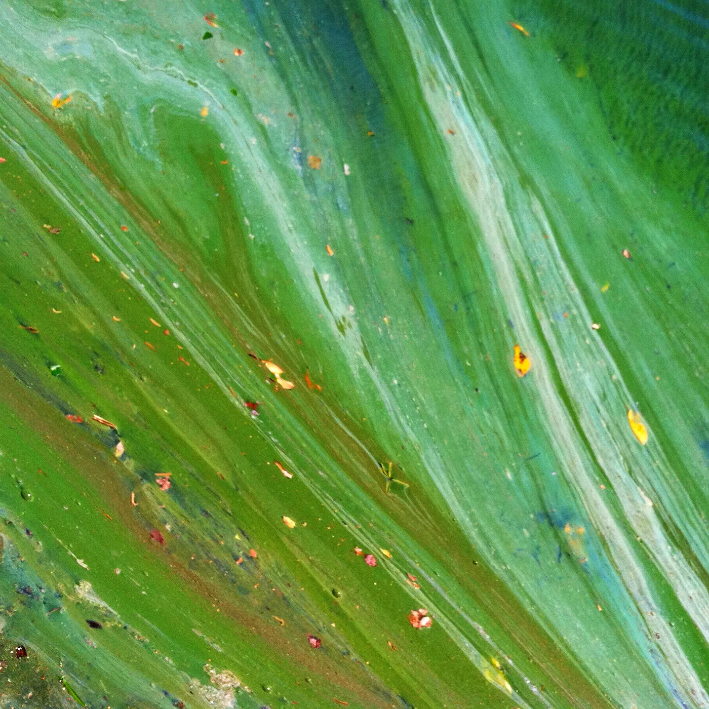 green_photo.jpg