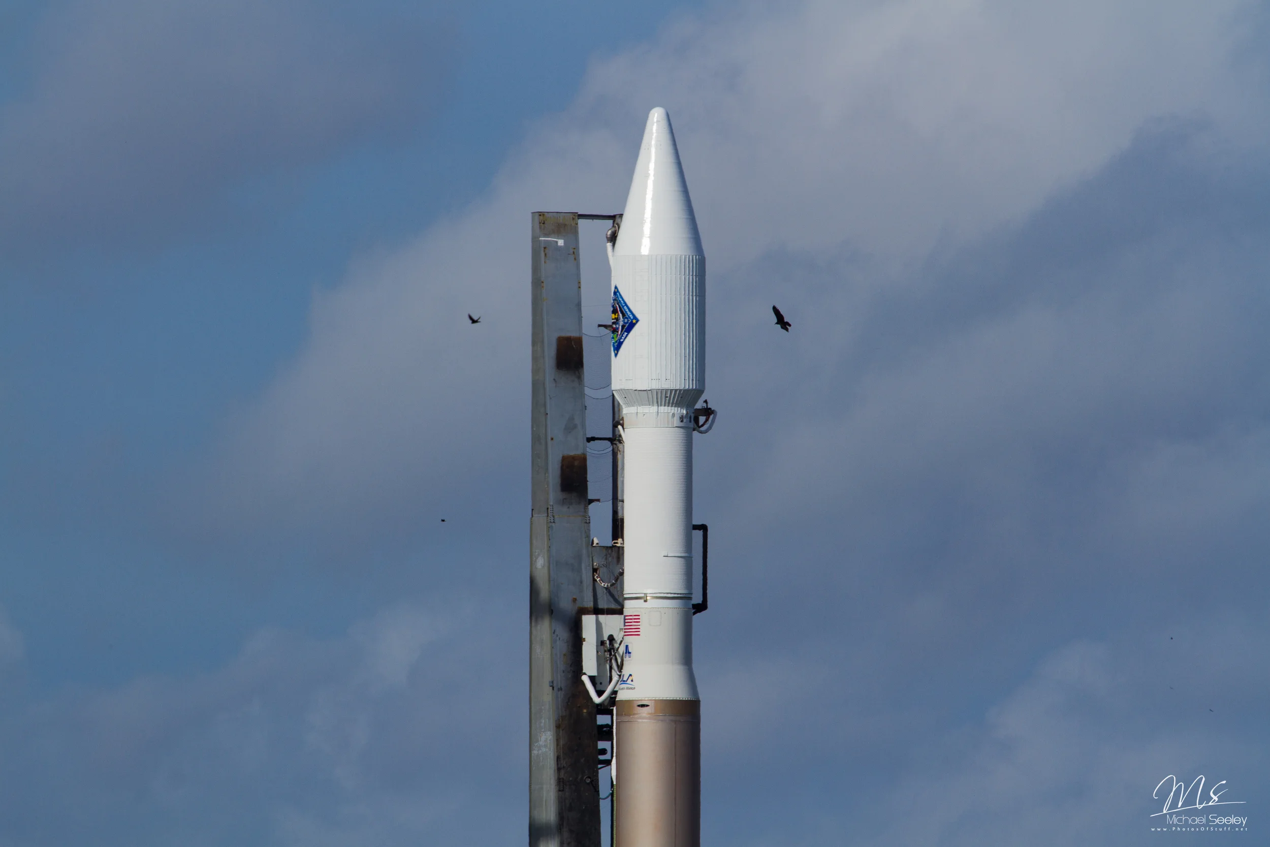 The birds have rocket envy