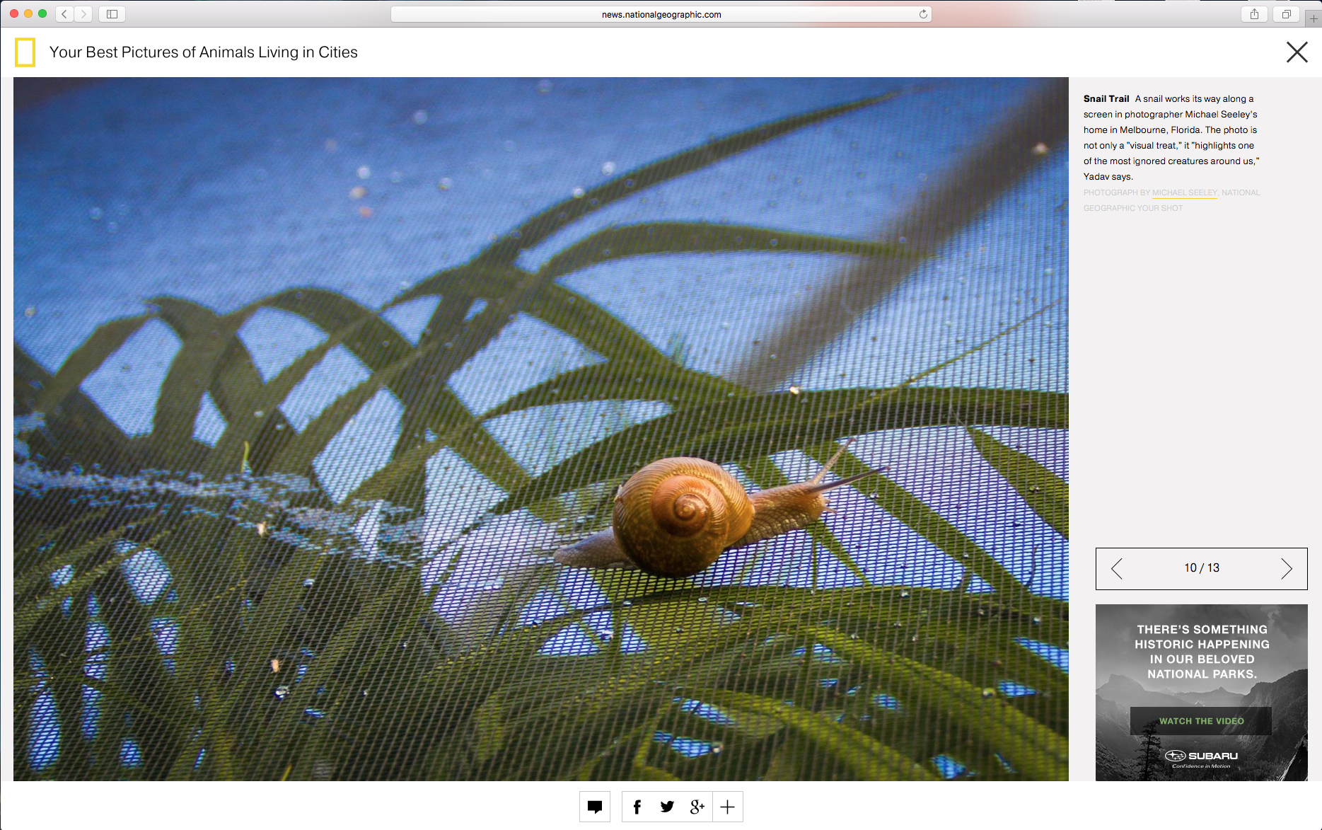 Screen Shot 2016-04-24 at 1.18.20 PM.png