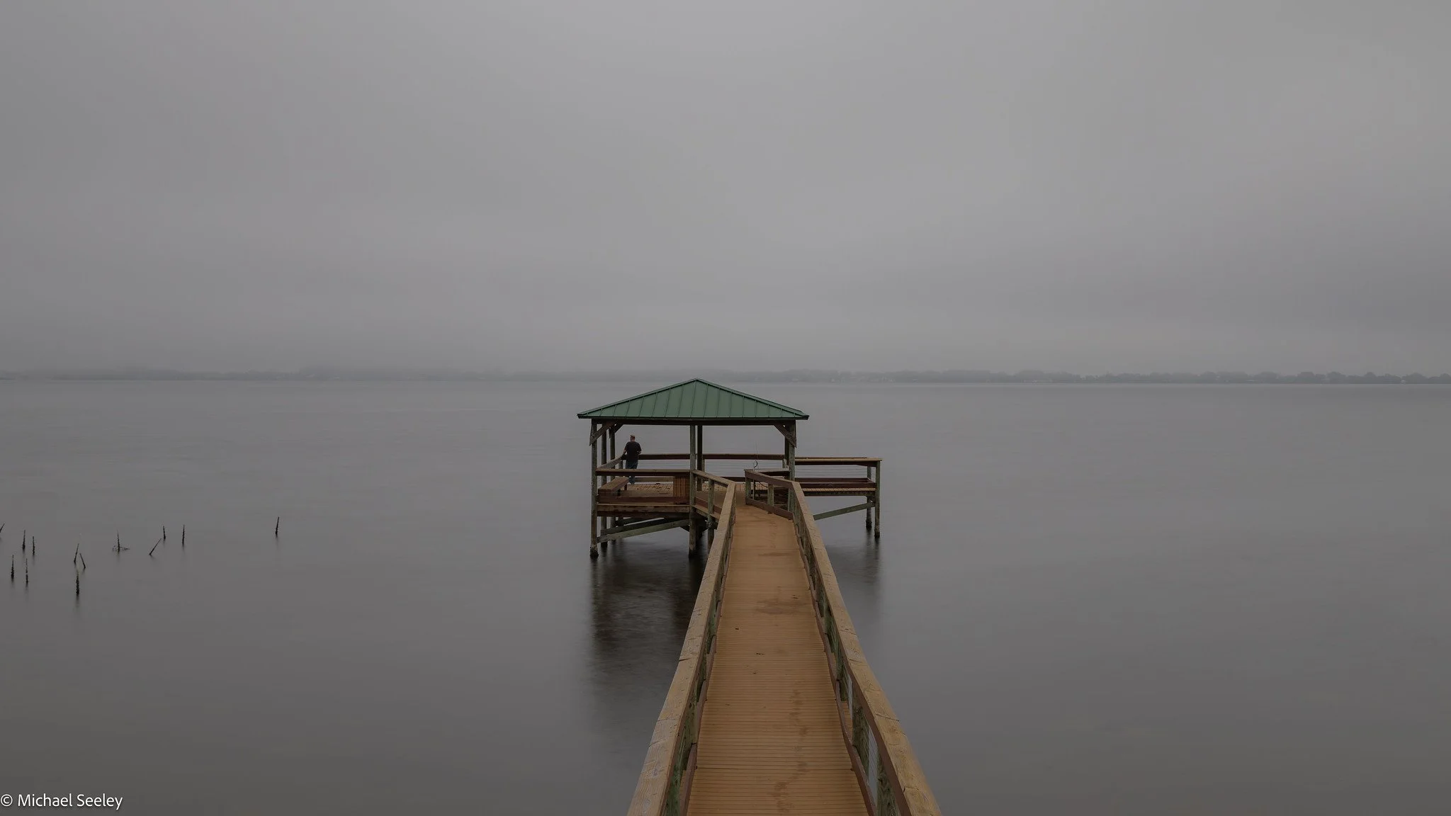 Foggy Thanksgiving