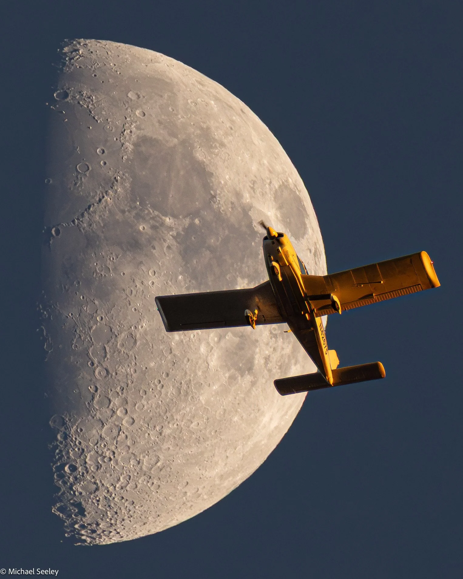 Piper Meets Moon