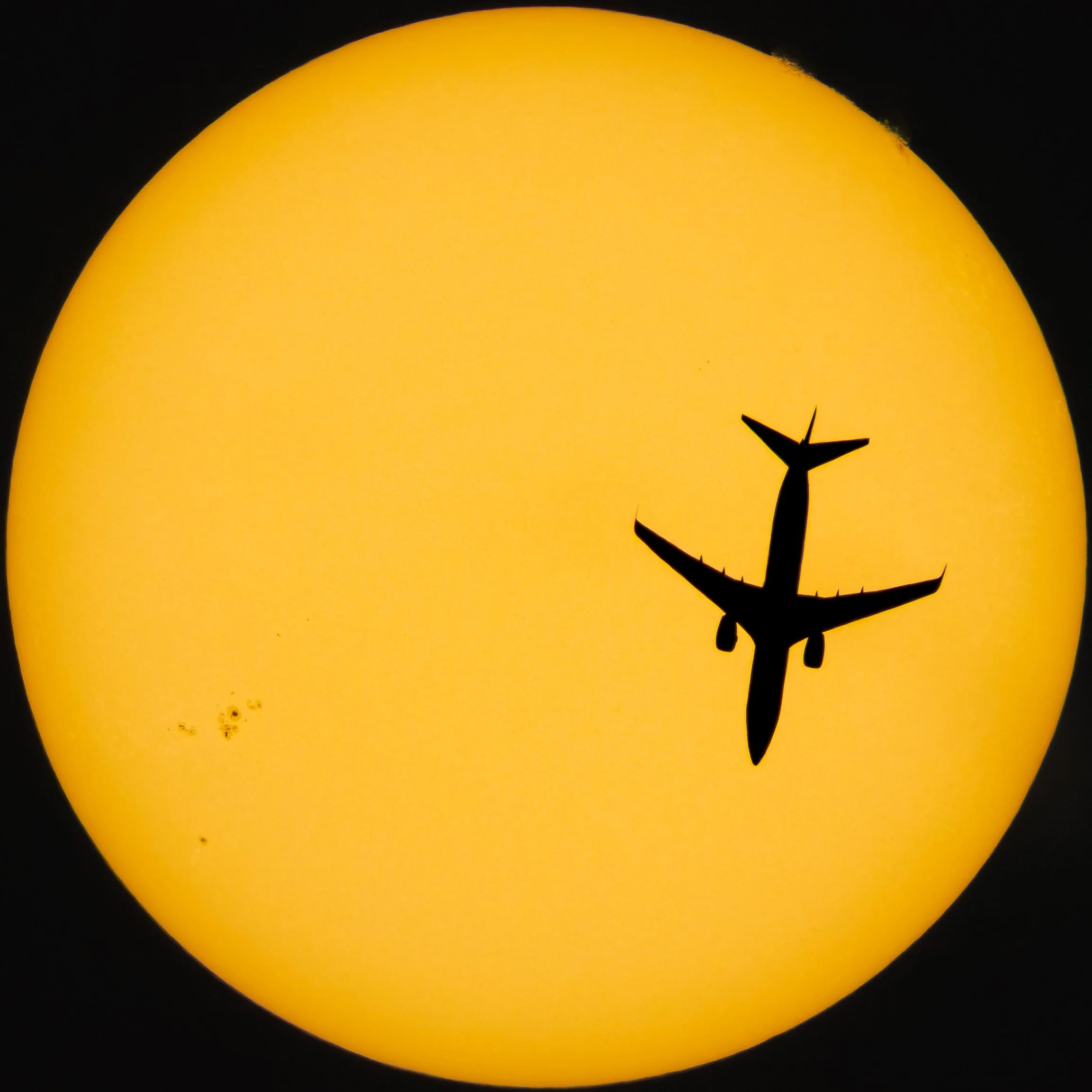 543A3173.jpg