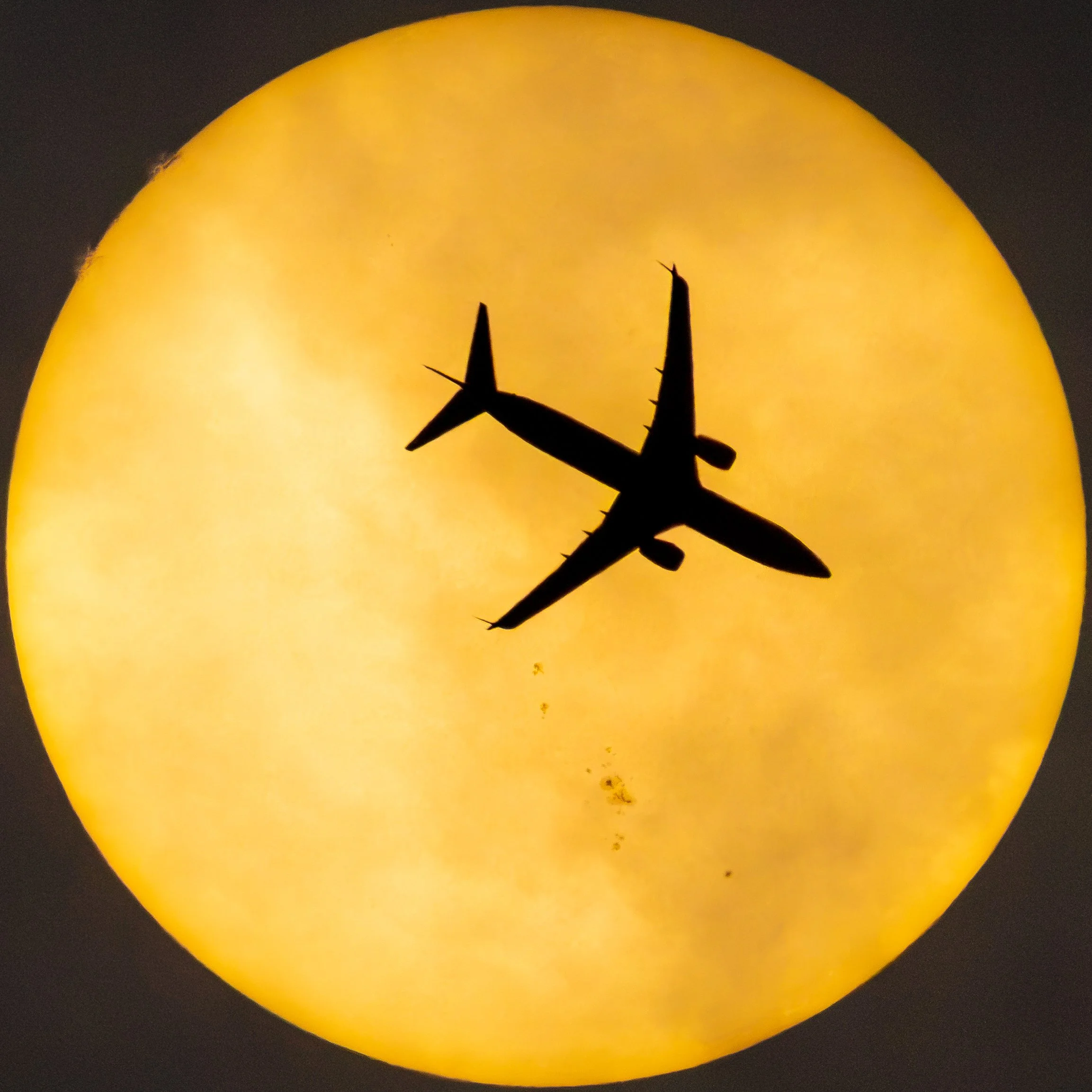 543A3462.jpg