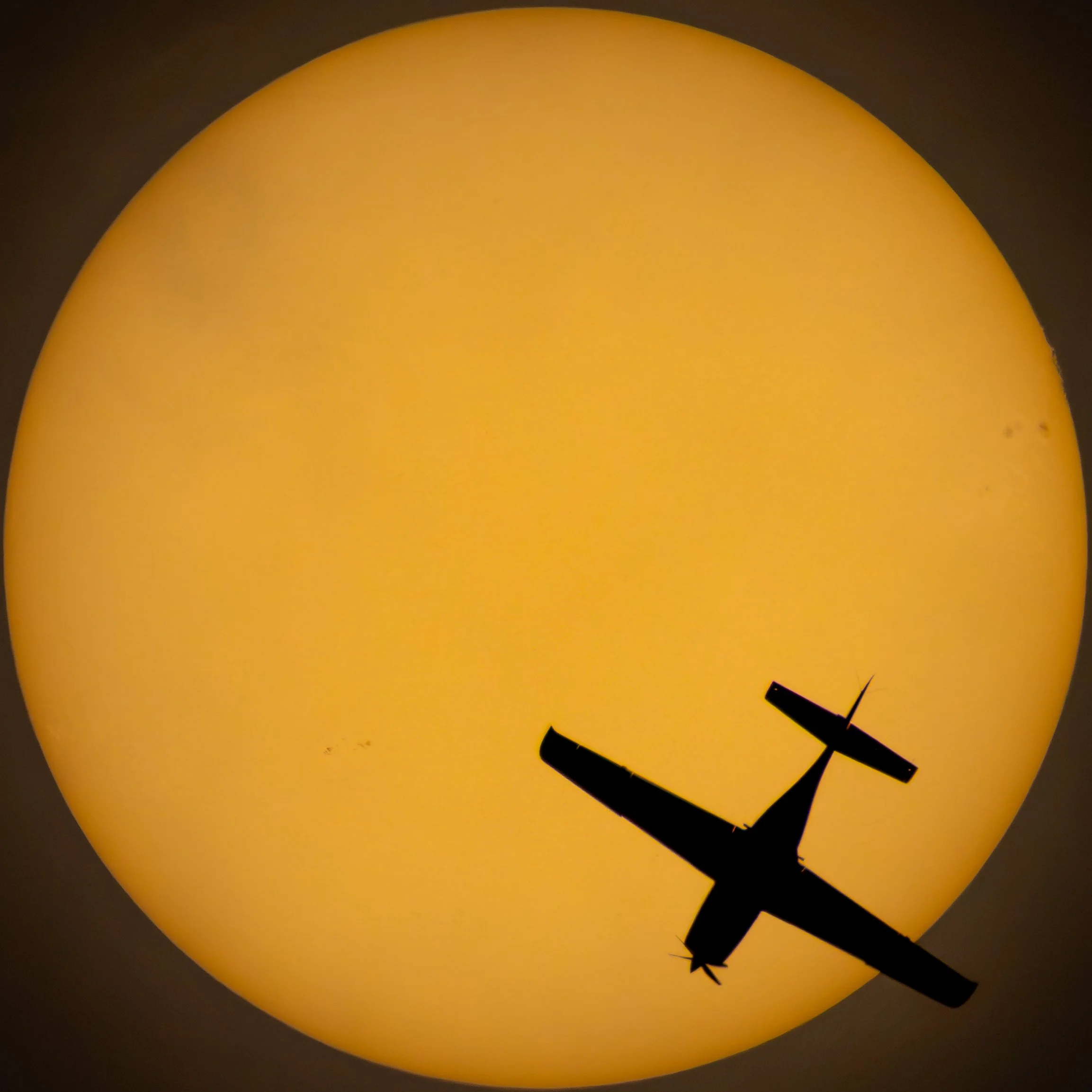 543A4320.jpg