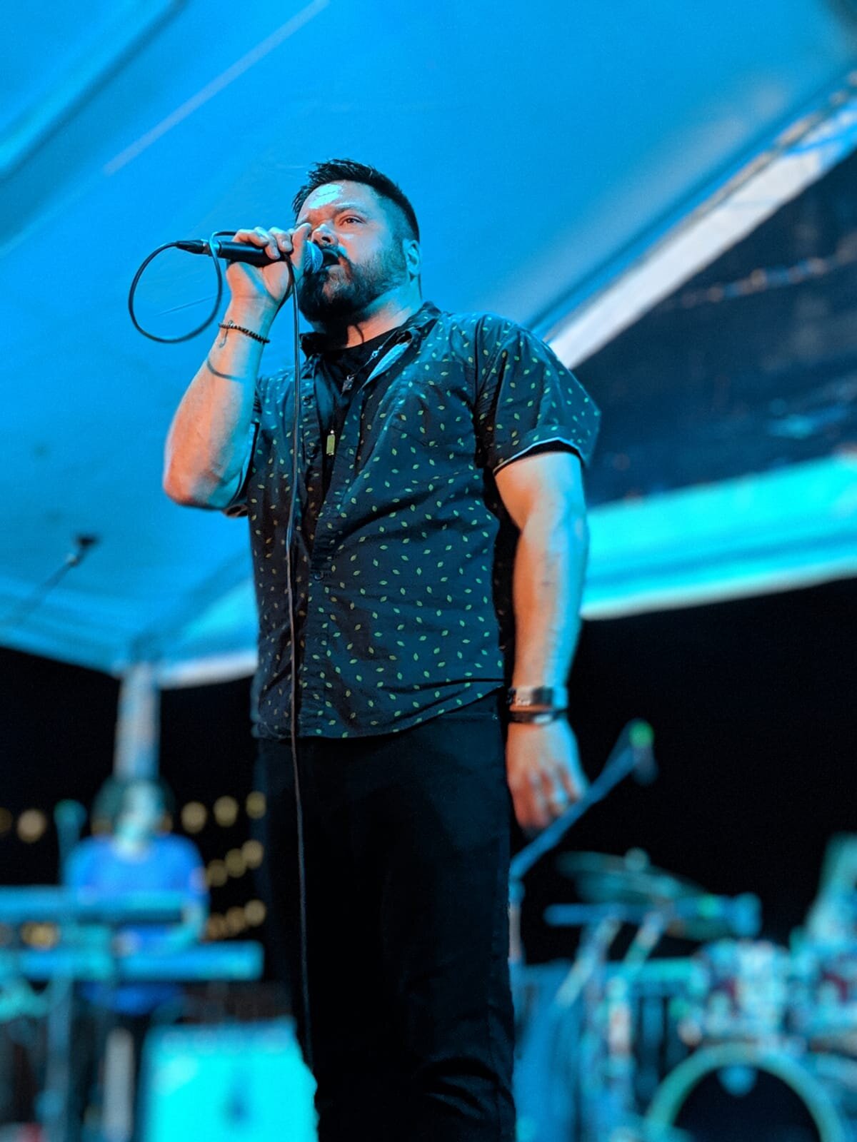 Pat Harmony Arts 2019.jpeg