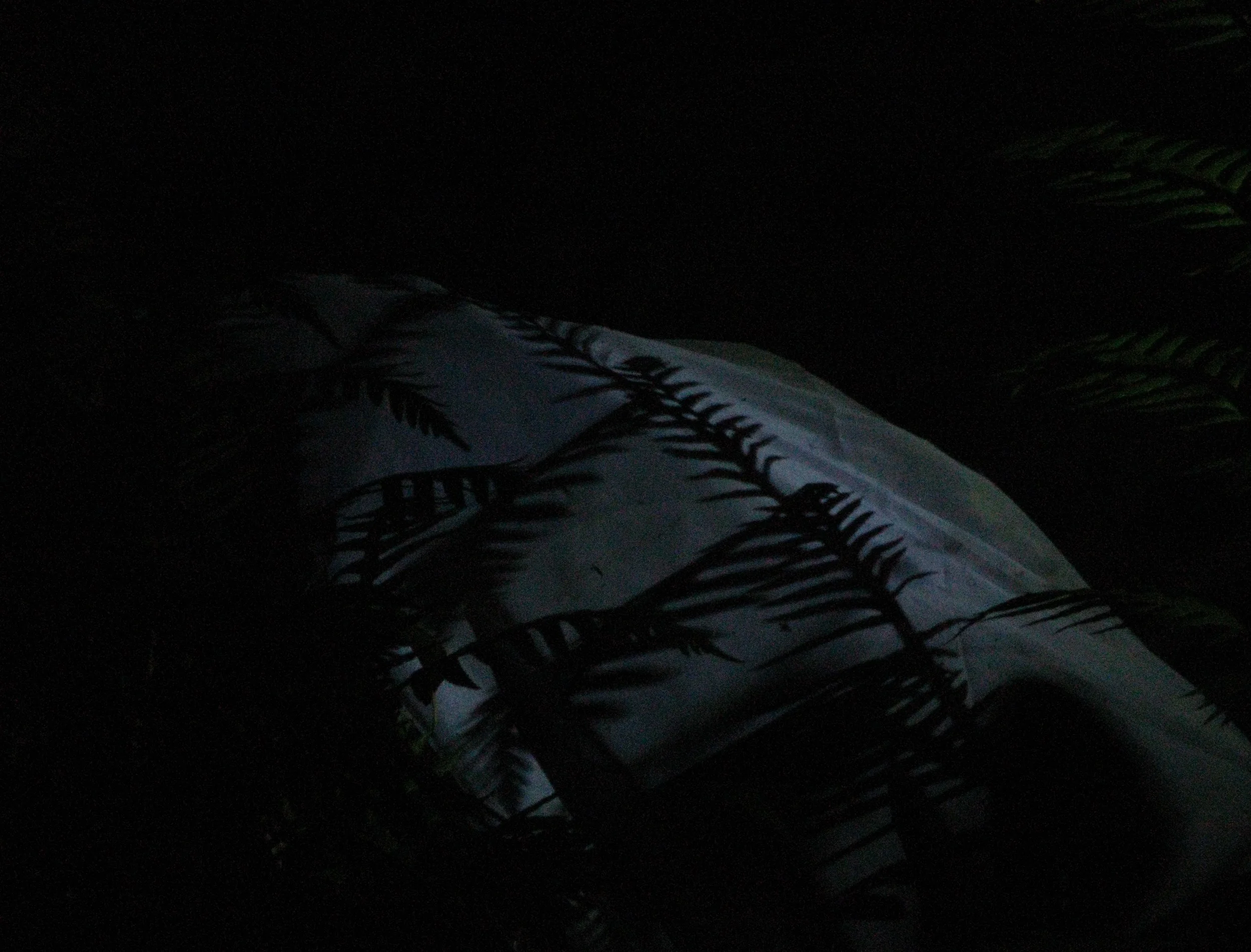   Take back  Digital photograph 2012  