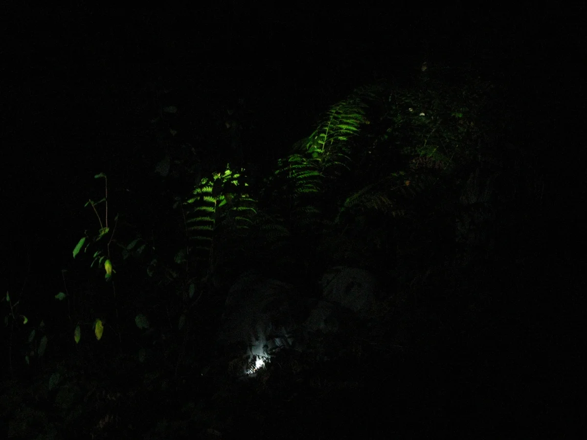   Lit  Digital photograph 2012  