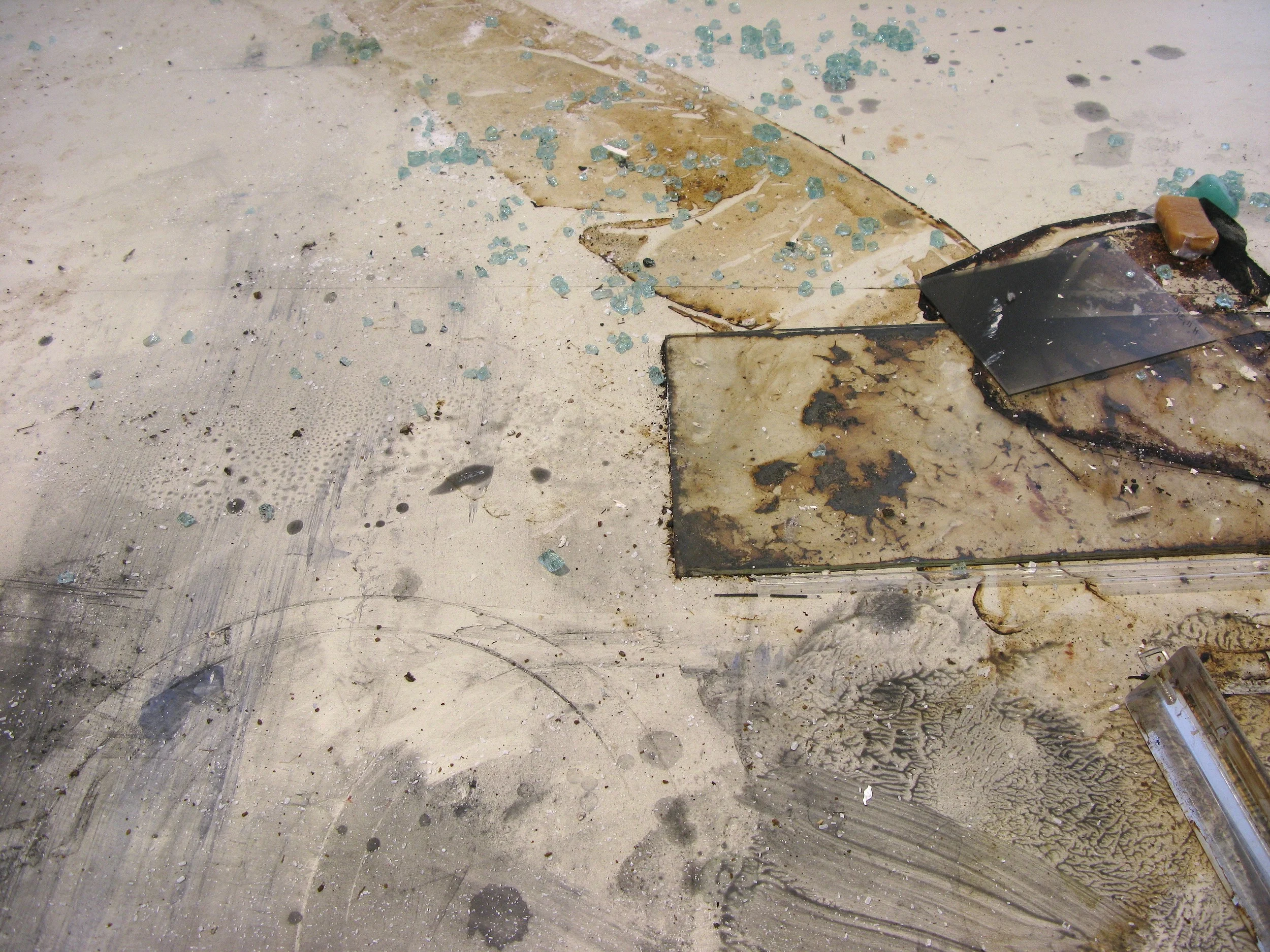   The drying bed of the swamp  MFA thesis exhibition detail California College of the Arts 2013 