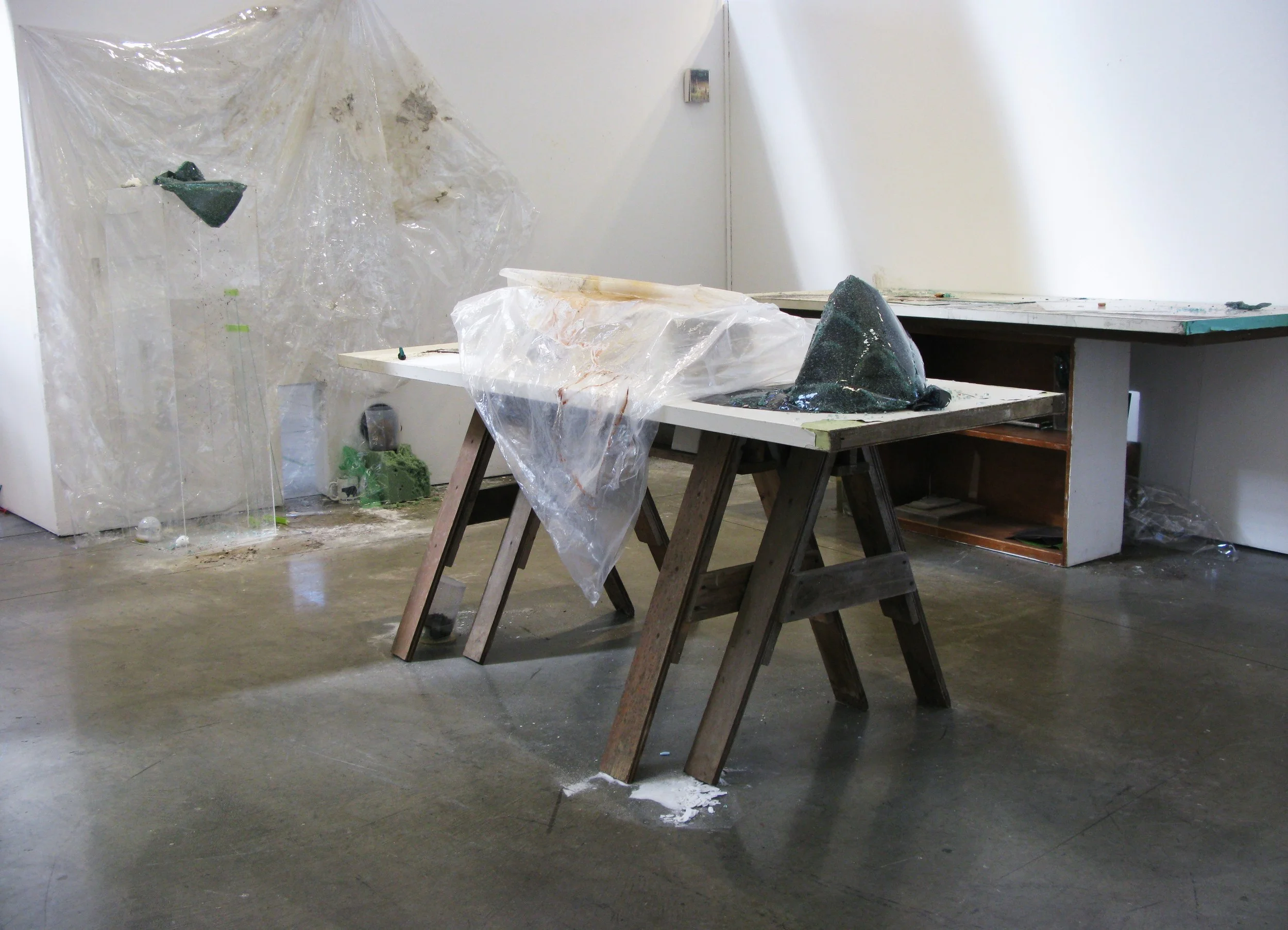 The drying bed of the swamp