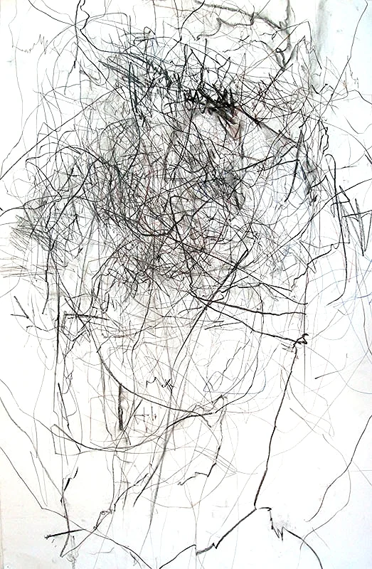 Untitled (sounds recorded without seeing) Graphite and charcoal on paper 44" x 22" 2008