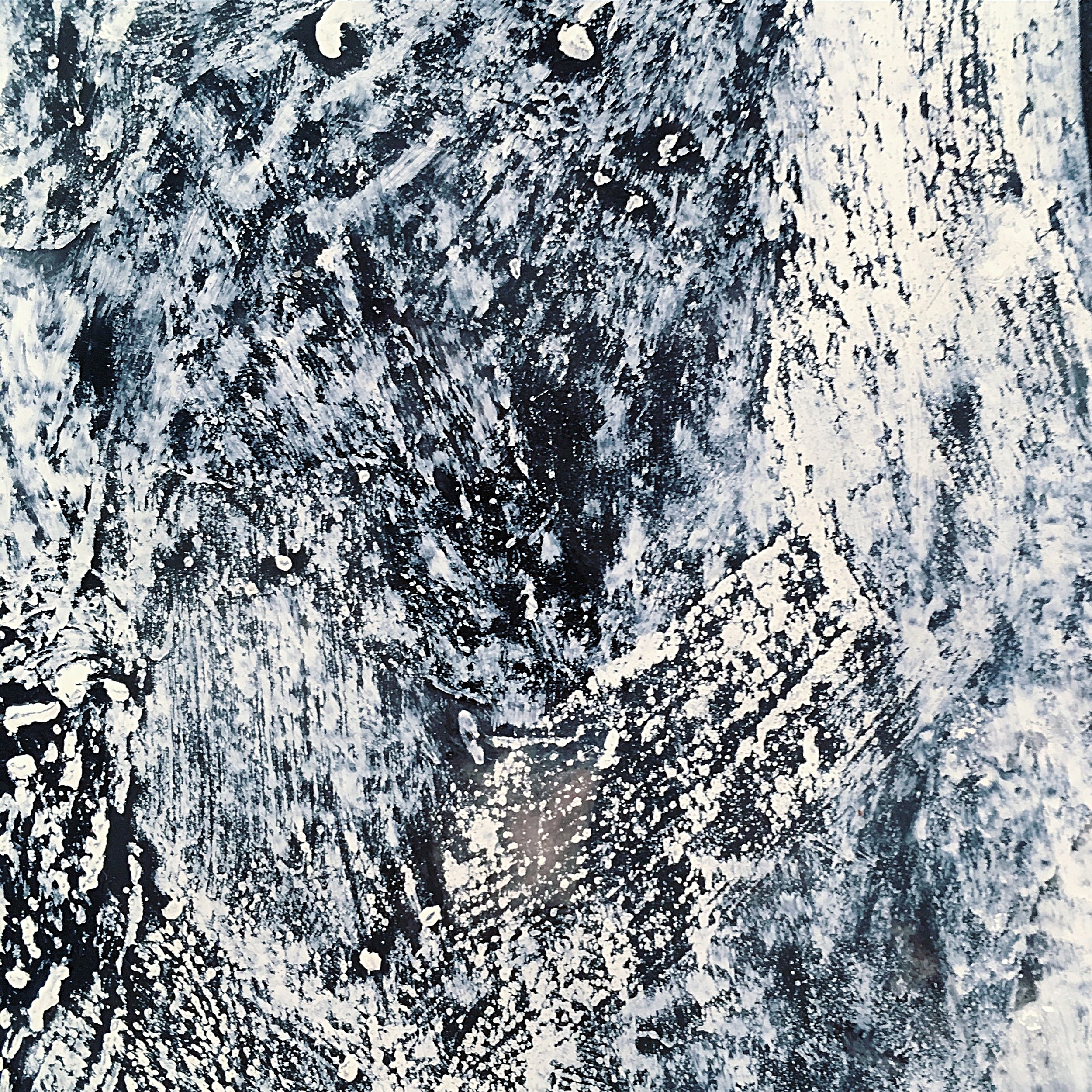  Detail of  On the fence &nbsp; 