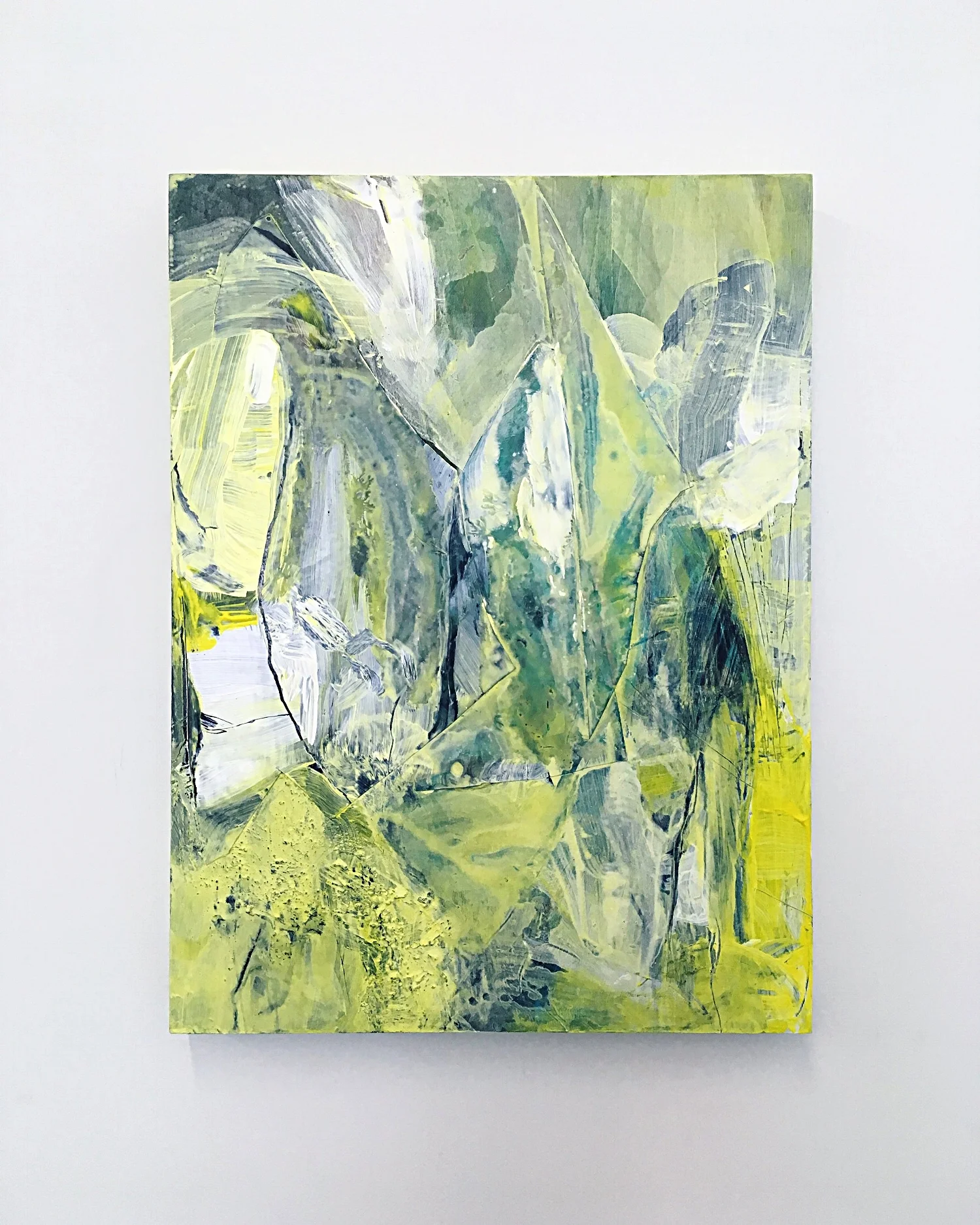   Parts peel 12" x 9"  Acrylic, vinyl, and wax pencil on wood panel 2016 