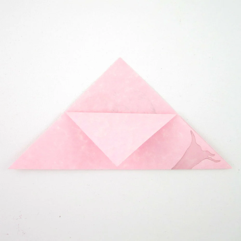 3. Fold top corner of first layer down to bottom fold.