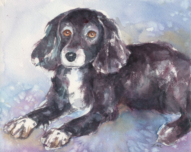 Custom Watercolor Pet Portrait by Lydia Makepeace
