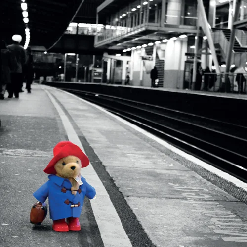 Paddington-Thumb.jpg