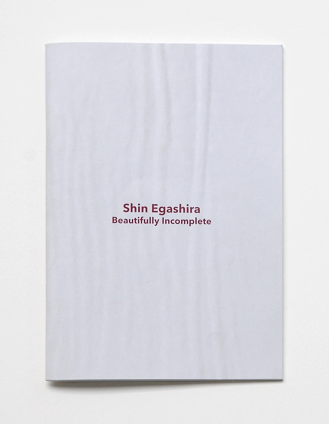 Shin Egashira-cover copy.jpg
