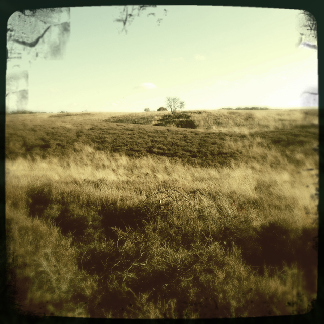 The third photo on Nature Sunday. A real calm view, just as a sunday should feel.