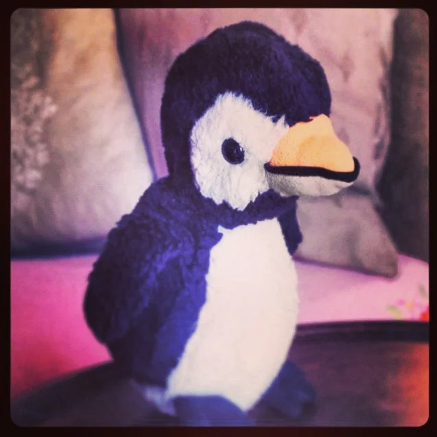 One of the last photos of our cuddly toys. The final product will been shown next tuesday!