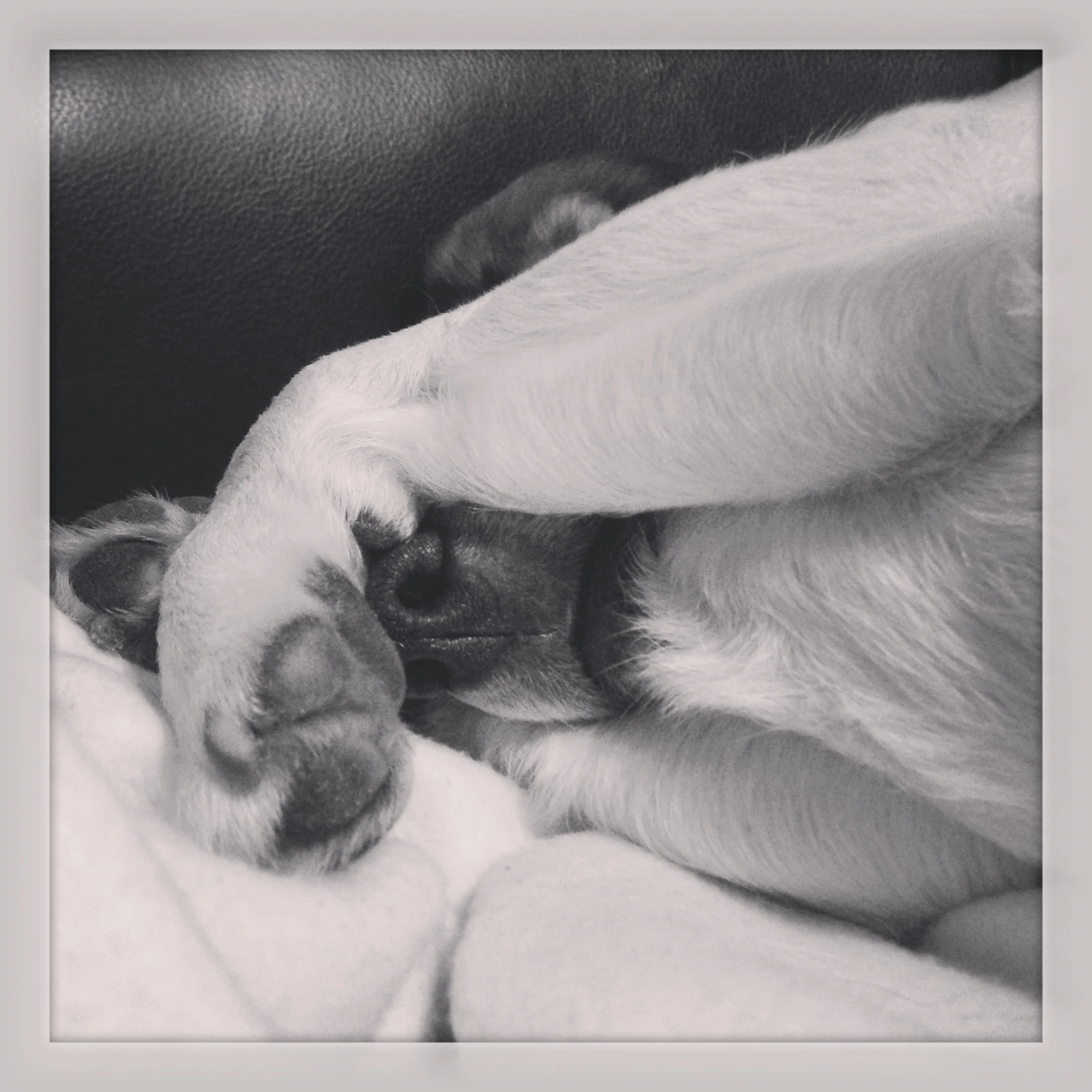 Lazy Saturday.
