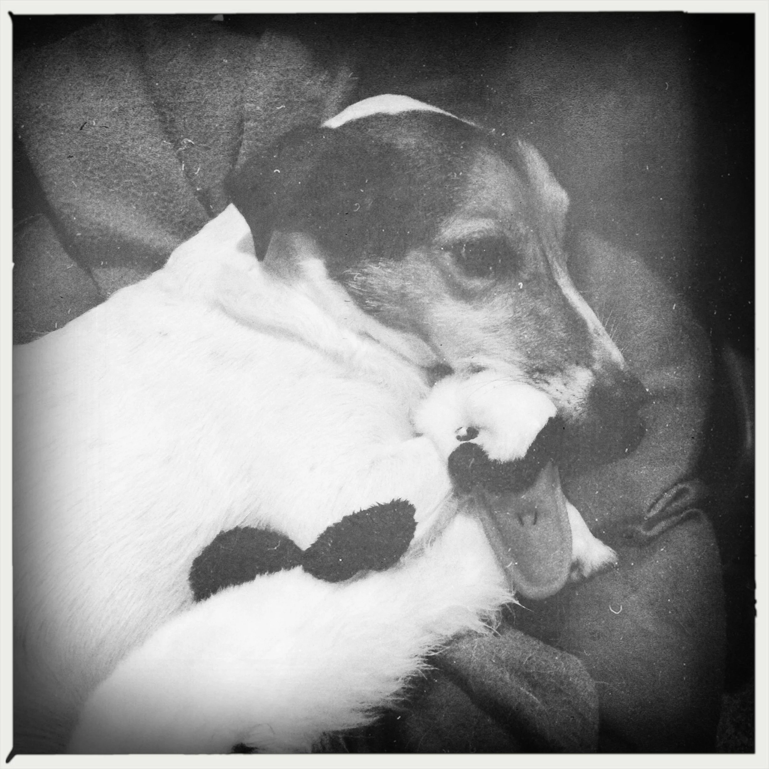 Another lazy saturday, another cute photo of Floris. This time with his cuddly toy.