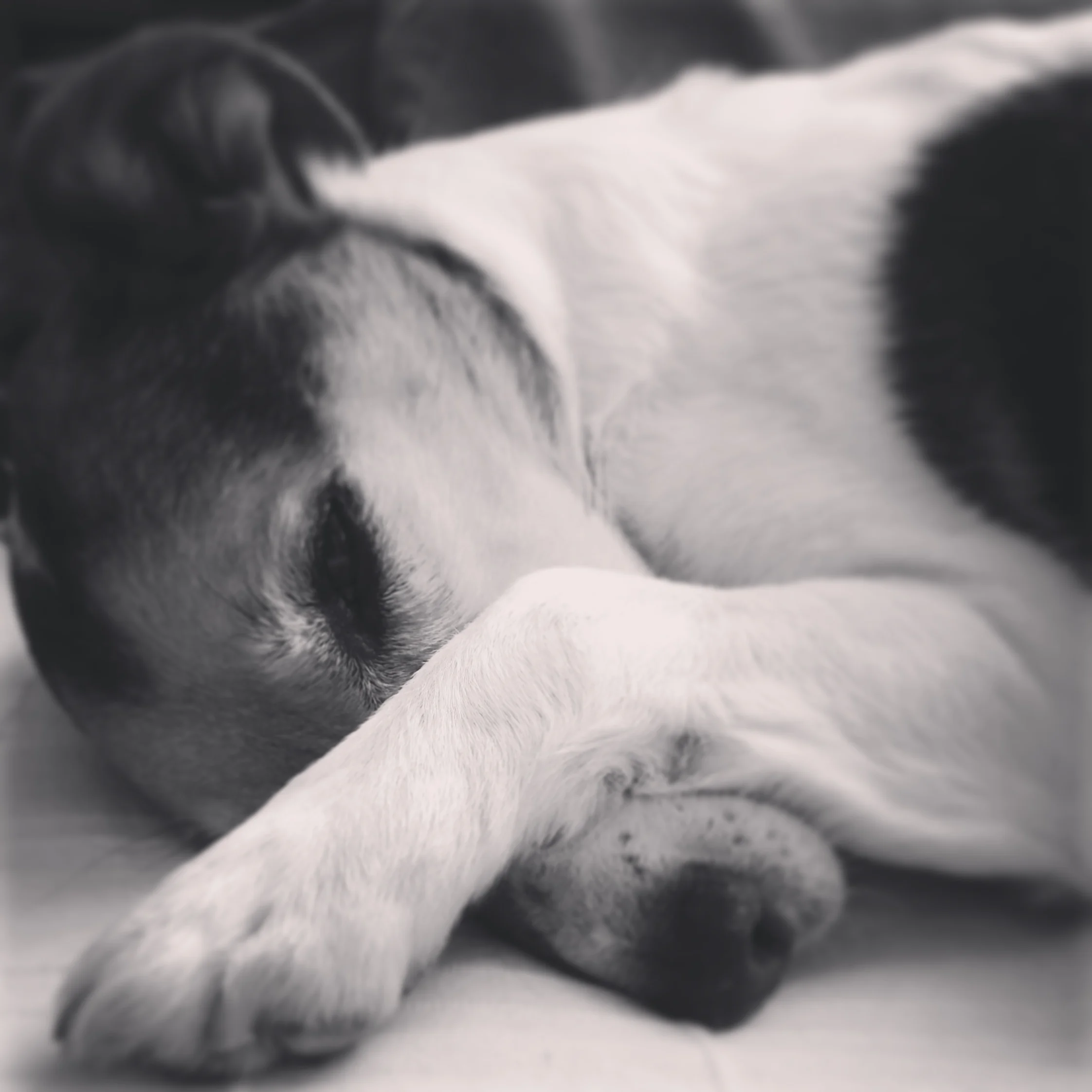 Lazy Saturday with Floris, just chilling on a Saturday afternoon.