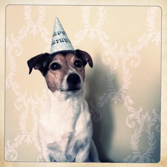 Floris always makes your birthday a bit better. It also gave us an idea for a really cool birthday card. Keep an eye on our blog to see how we made that card.