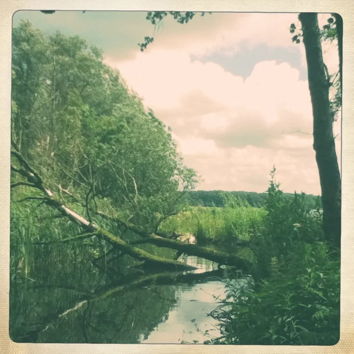 A really nice spot just discovered in Rotterdam. De Heemstuin is a part of the Kralingse Plas. We will be there a lot, just to dream away.