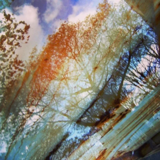 Nothing is what it seems part 3. You just can't see what it is precisely. This photo was made in one click.