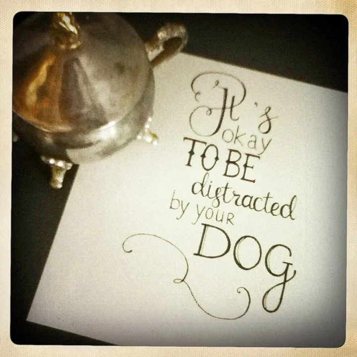 On of the hand lettering designs that is ready for digitizing. 