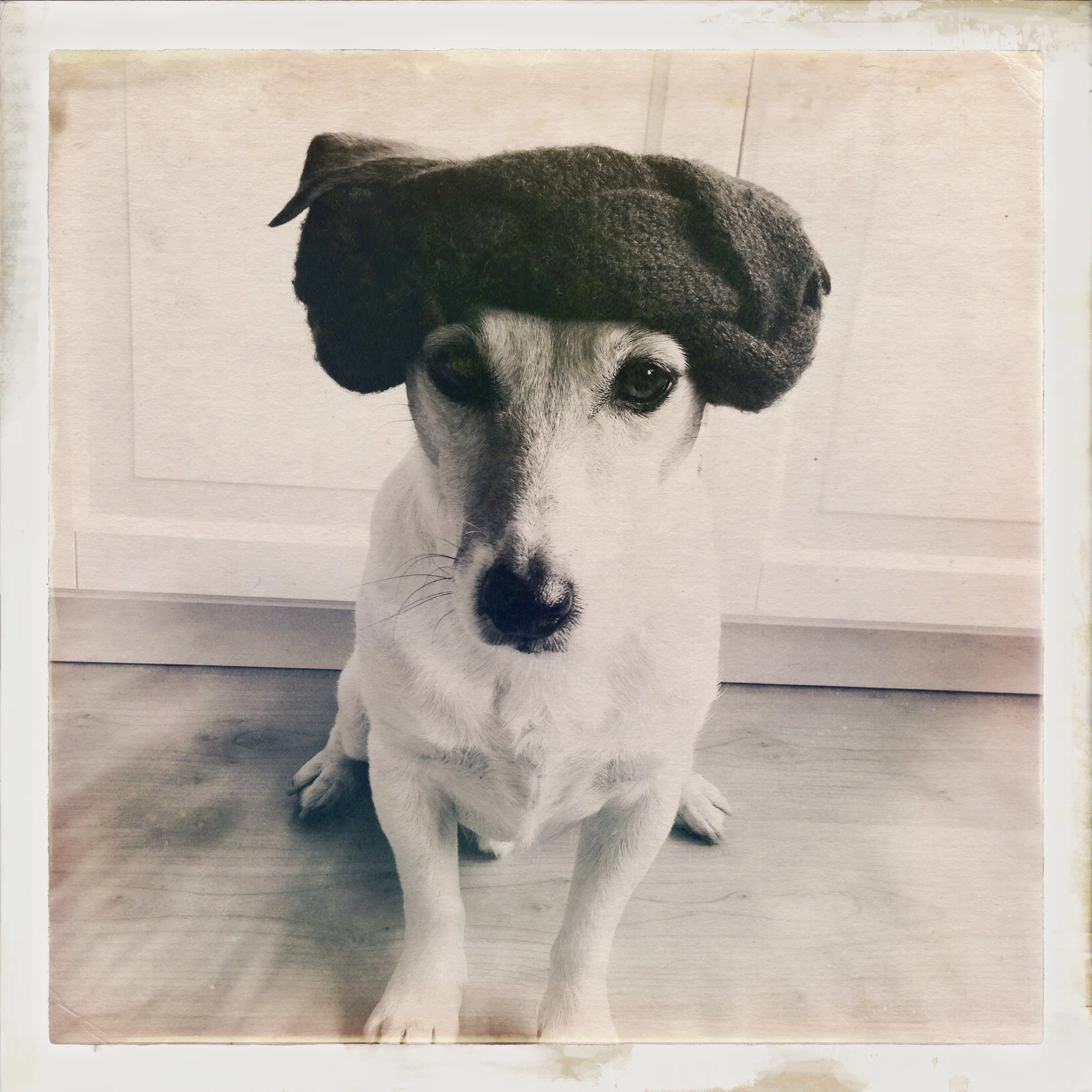 This week Floris pulls of a mysterious-fortune teller-vintage carnival-look.