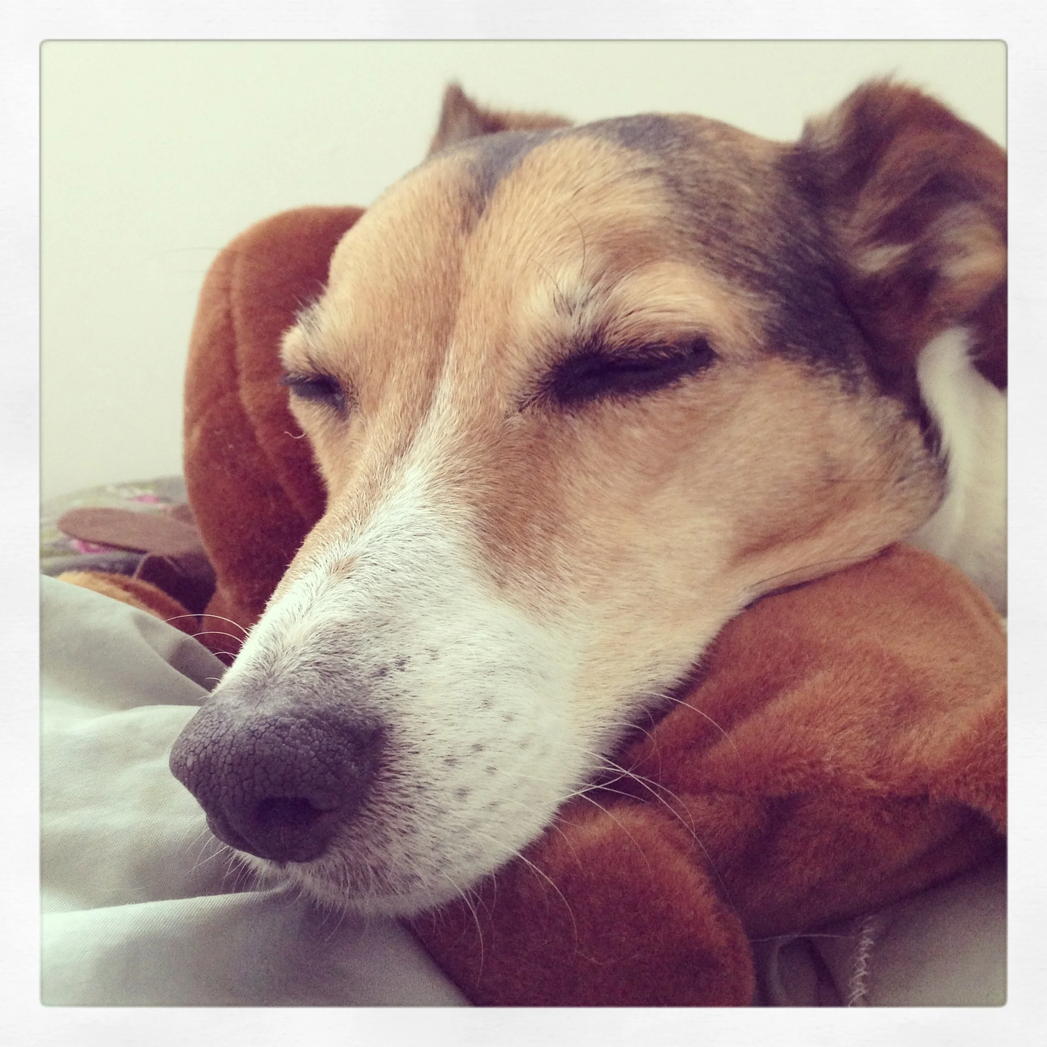 Next to being a model Floris shows off his sleeping skills.