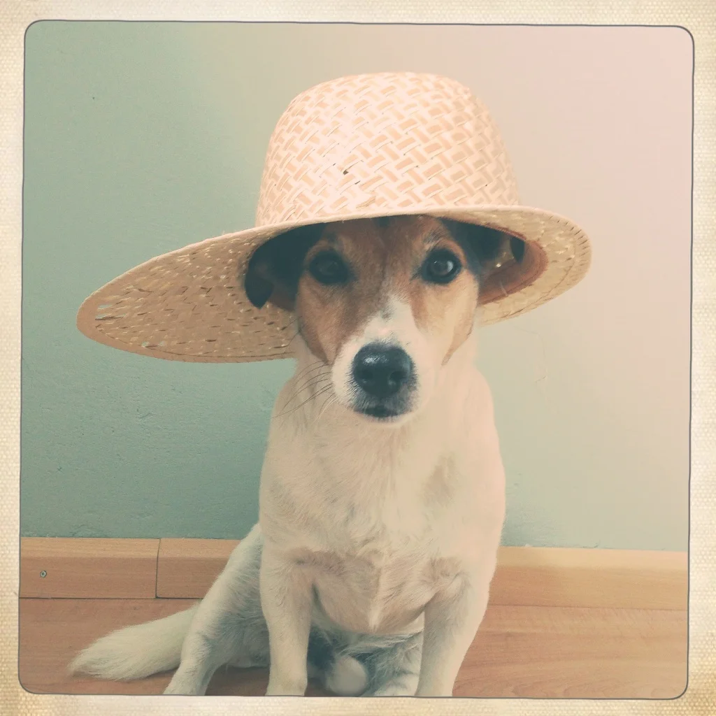 Floris makes us want to go to the beach this week. And this would be a good hat to wear!