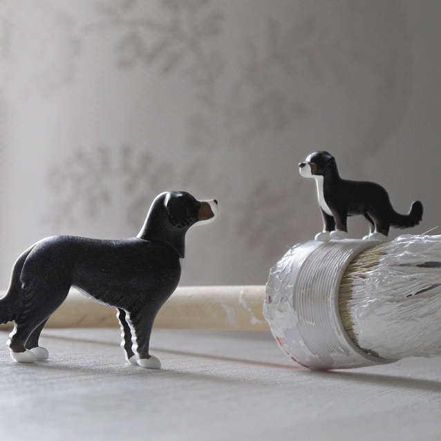 Our new characters Saga and Haoqi, see them every week on our blog for a new adventure!