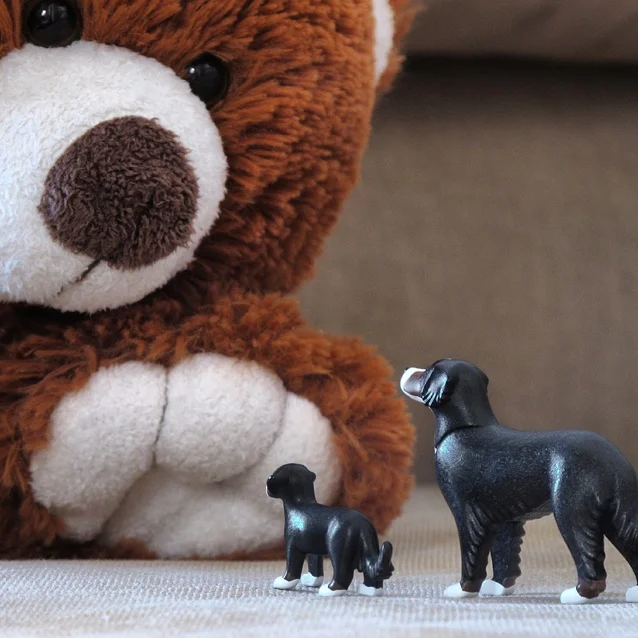 New adventure of Saga and Haoqi. Here they met Huggie. Hug a Bags mascot!