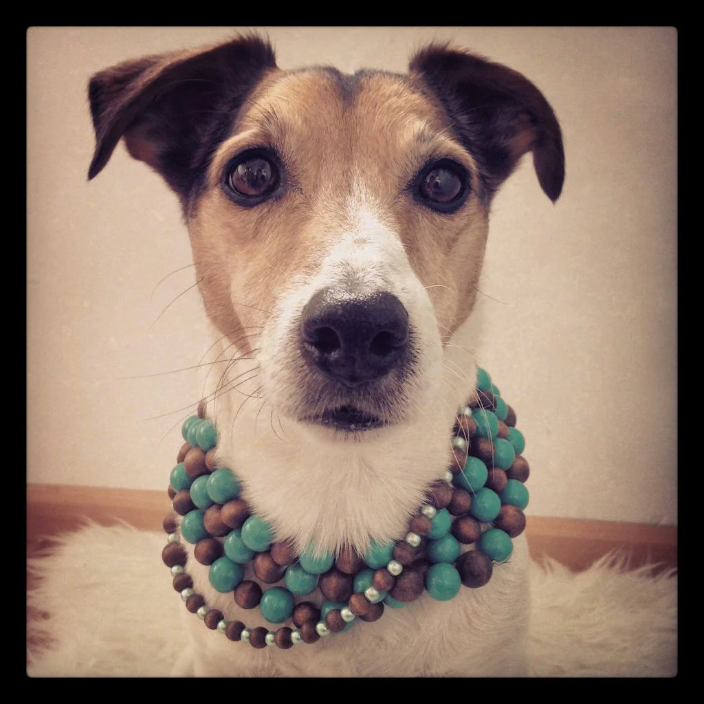 Floris, beautiful Floris, looking so androgynous that people thought he is a she. Maybe a necklace is not the right accessory for Floris.