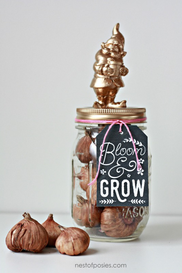 http://www.nestofposies-blog.com/2015/03/flower-garden-in-a-jar/