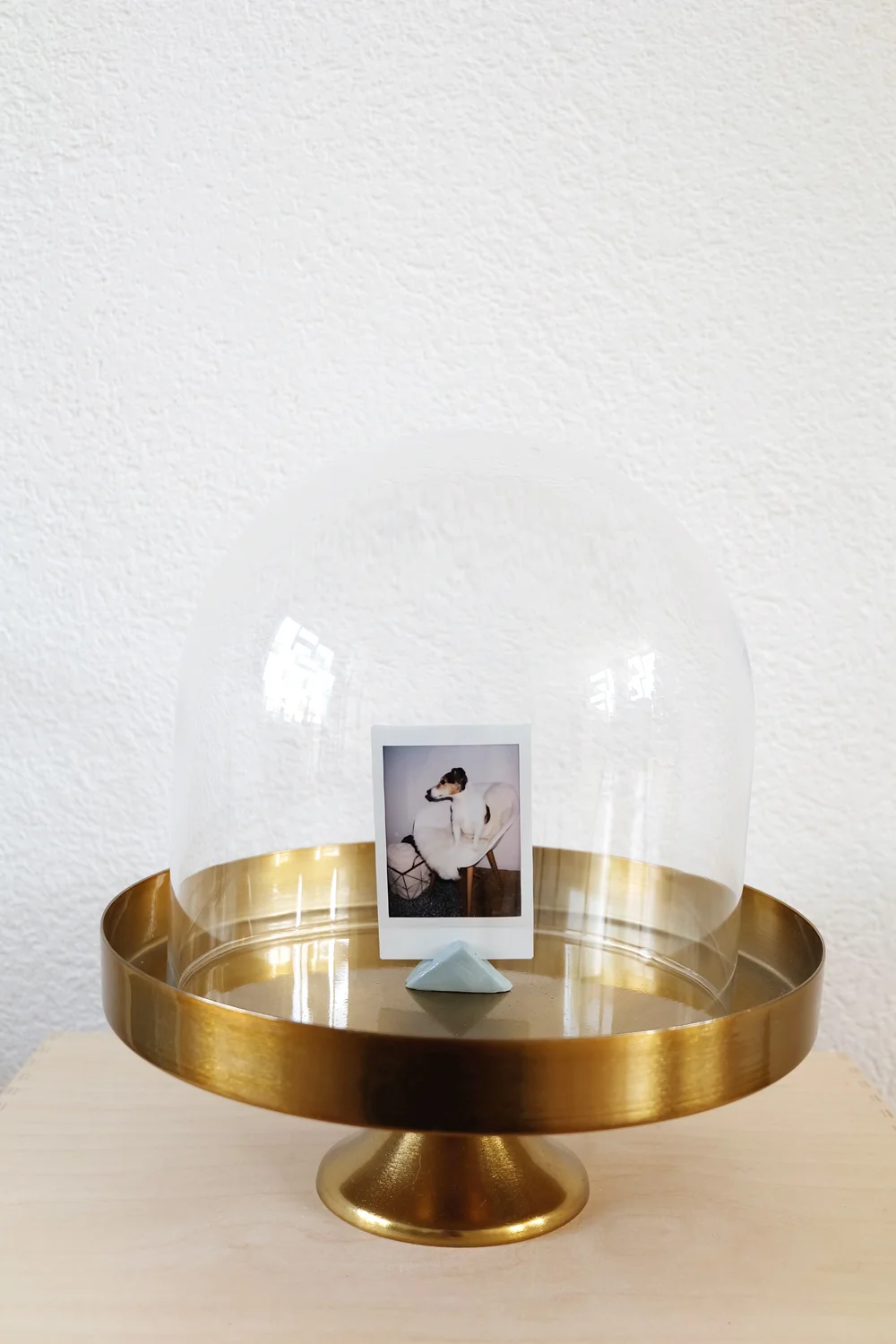 polaroid-frame.jpg